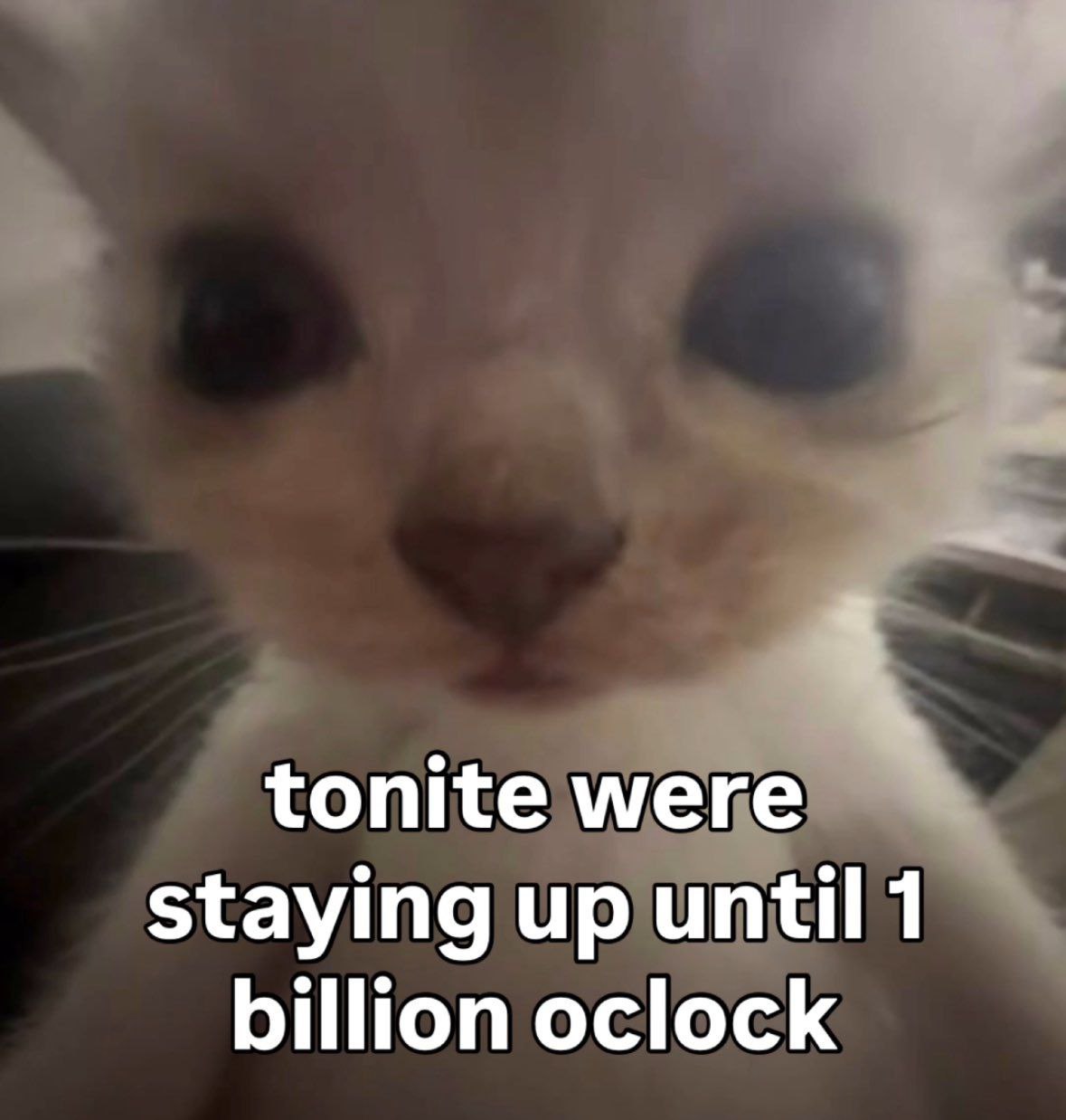 Site hosted by Neocities